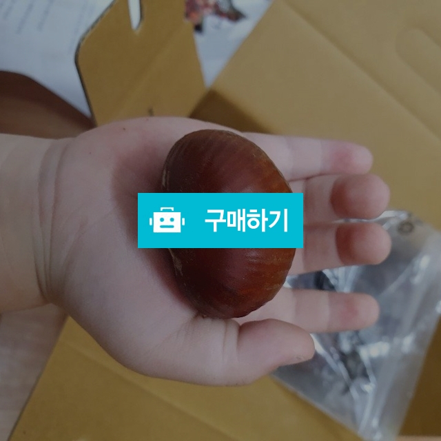 공주밤 햇밤 옥광밤 2kg/4kg / 소담한식탁 / 디비디비 / 구매하기 / 특가할인