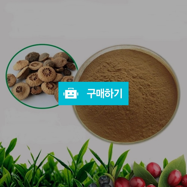 헛개나무열매추출분말 20kg / 엔트레이드코리아님의 스토어 / 디비디비 / 구매하기 / 특가할인