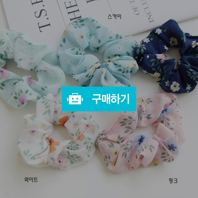 포프리 곱창밴드 5COLOR / 키득키즈 / 디비디비 / 구매하기 / 특가할인
