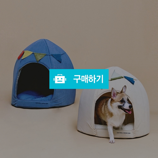 개과천선 스쿼시 강아지 하우스 애견 꿀잠 동굴집 쿠션 하우스 고양이 숨숨집 논슬립 가랜드 / 개과천선 / 디비디비 / 구매하기 / 특가할인