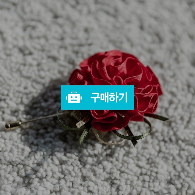 카네이션 / 낭만감성꼼지락님의 스토어 / 디비디비 / 구매하기 / 특가할인