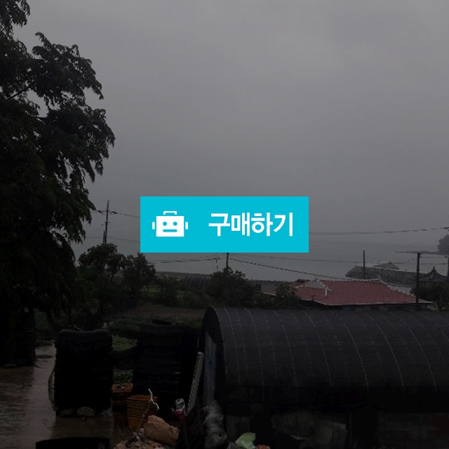 nh / 바람을탓하랴님의 스토어 / 디비디비 / 구매하기 / 특가할인