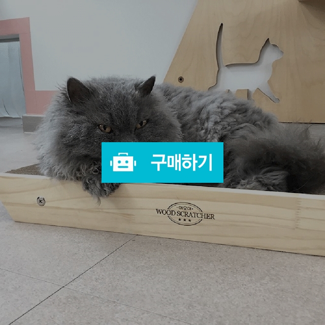 야오미 우드 투웨이 스크래쳐 / 코고는 고양이 / 디비디비 / 구매하기 / 특가할인