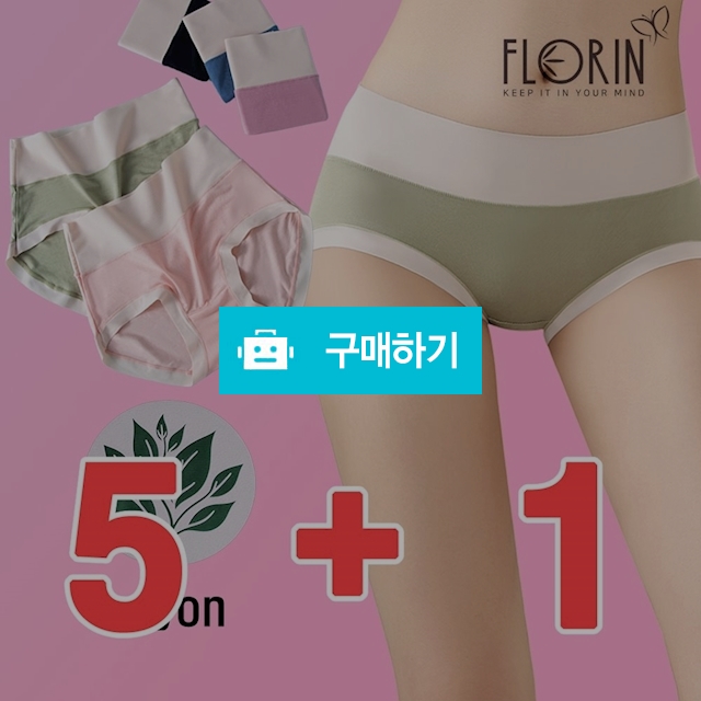 5+1 FWp-9101 하이웨스트 여성 여자 삼각 레이온 컴포트 팬티 / 오브언더웨어님의 스토어 / 디비디비 / 구매하기 / 특가할인