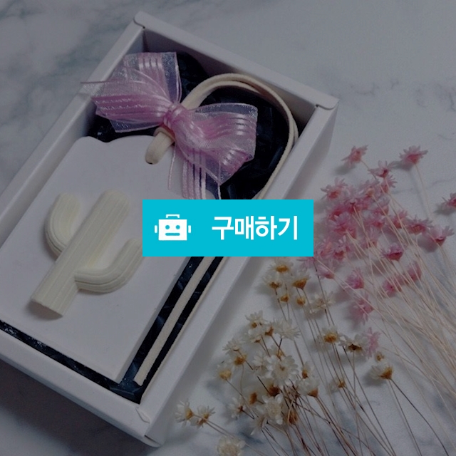 노랑 선인장 / YOUNG1799님의 스토어 / 디비디비 / 구매하기 / 특가할인