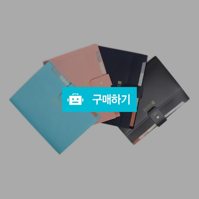 모닝글로리 아코디언파일 A4 클레버 간편 도큐멘트화일 12분류 / 설래임 / 디비디비 / 구매하기 / 특가할인