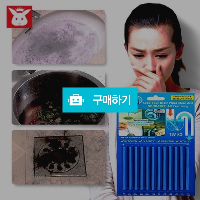 변기 싱크대 배수관 클리너 세정제 악취제거 스틱 12 x 1년 사용 / 프리미엄리빙스토어 / 디비디비 / 구매하기 / 특가할인