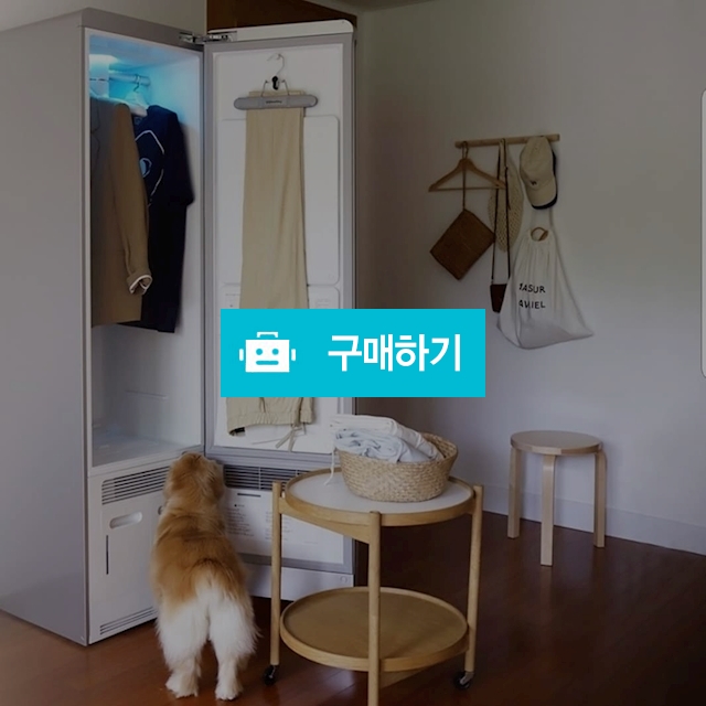 의류청정기 / 라인하르트750님의 스토어 / 디비디비 / 구매하기 / 특가할인