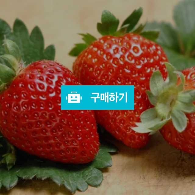 34534 / 지원쨔잉님의 스토어 / 디비디비 / 구매하기 / 특가할인