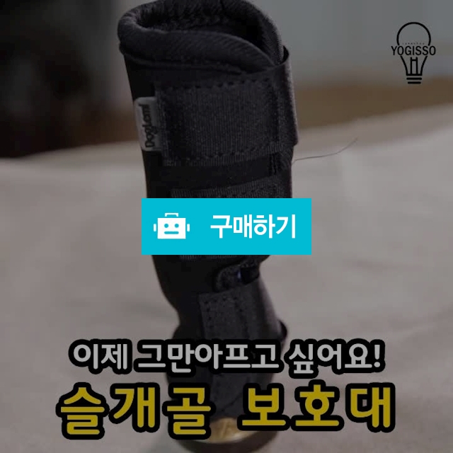 강아지 슬개골 보호대 / -511511님의 스토어 / 디비디비 / 구매하기 / 특가할인