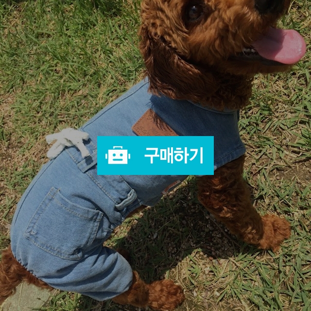 청올인원 강아지옷 / 리봉샵 / 디비디비 / 구매하기 / 특가할인