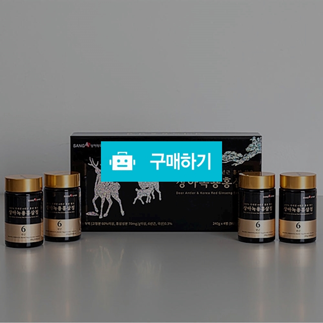 상아제약 녹용홍삼정 240g X 4병 (960g)-쇼핑백포함 / 니쥬커머스 / 디비디비 / 구매하기 / 특가할인