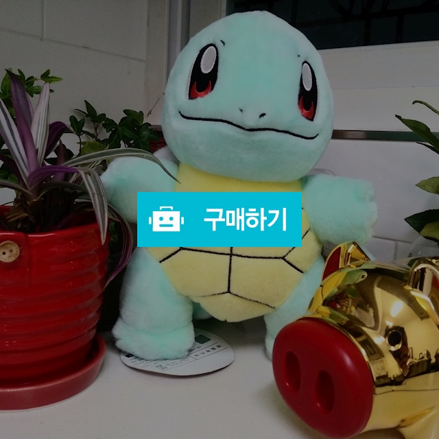 귀요미 꼬부기^^  모시고 가세요~~ / 핑크공주님의 스토어 / 디비디비 / 구매하기 / 특가할인