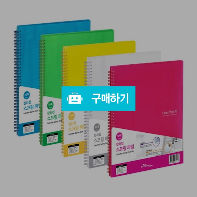 에코청운 A4 칼라칩 스프링 화일 30P / 설래임 / 디비디비 / 구매하기 / 특가할인