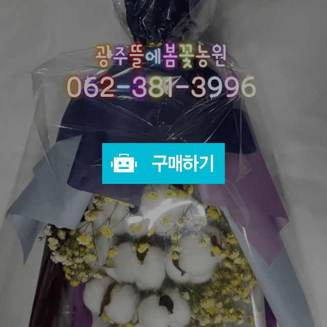 졸업식꽃다발 목화꽃다발 프리저브드 드라이플라워꽃다발 / 꽃같은너에게님의 스토어 / 디비디비 / 구매하기 / 특가할인