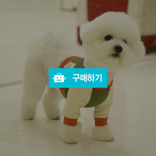 배색 크롭 강아지 맨투맨 _ 그린 / 퍼피온님의 스토어 / 디비디비 / 구매하기 / 특가할인