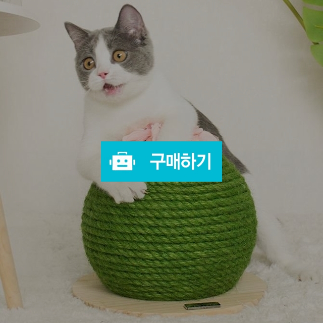 탁펫 고양이 선인장 스크래쳐 / 리빙듀오님의 스토어 / 디비디비 / 구매하기 / 특가할인