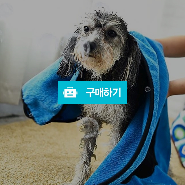 애견 샤워 타올 / 김싱글의 스토어 / 디비디비 / 구매하기 / 특가할인