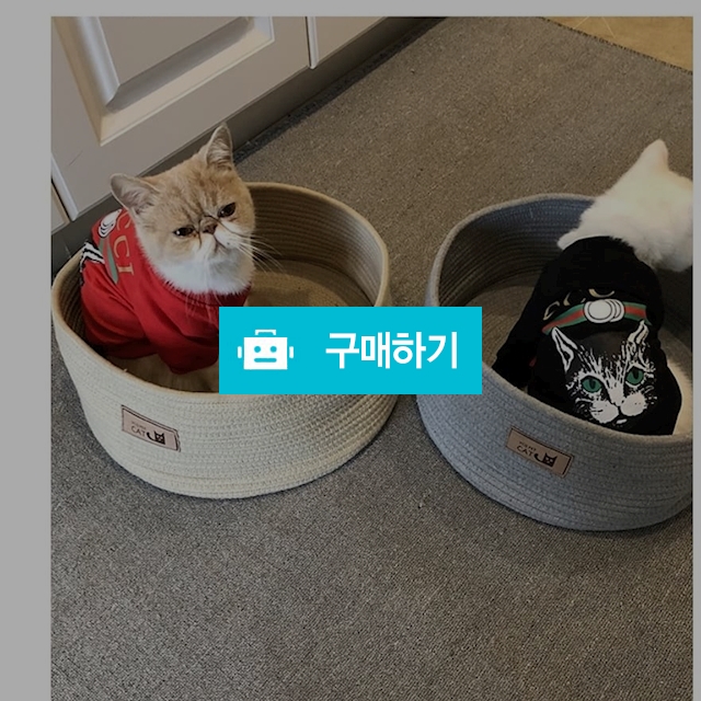 코튼바구니 / 펫은못말려 / 디비디비 / 구매하기 / 특가할인