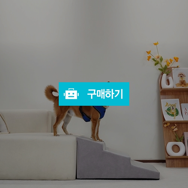 개과천선 앵글 강아지 펫 스텝 애견 논슬립 계단 실리콘 슬라이드 슬개골 관절 보호 노령견 / 개과천선 / 디비디비 / 구매하기 / 특가할인
