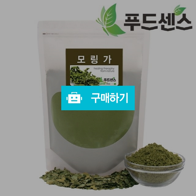 모링가 잎 분말 가루 500g / 푸드센스 / 디비디비 / 구매하기 / 특가할인