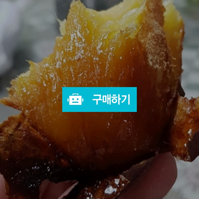 달달하고 촉촉한 프리미엄 당진 호박고구마 3kg 5kg / 프로벨류 / 디비디비 / 구매하기 / 특가할인