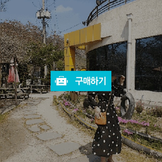 네이버 검색창에  '빵아샵' 검색하세요~ / 빵아22님의 스토어 / 디비디비 / 구매하기 / 특가할인