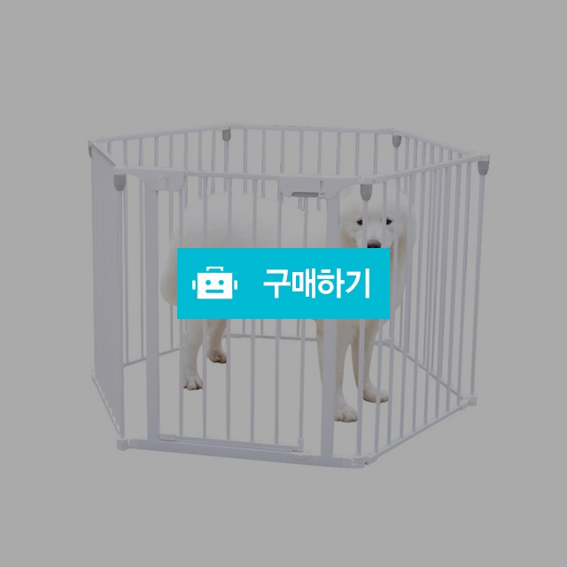 마이독 베이비세이프 유아 강아지 접이식 삼각 육각 안전문 / 마이독님의 스토어 / 디비디비 / 구매하기 / 특가할인