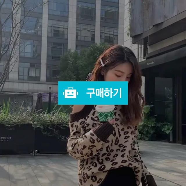 루즈핏 호피무늬 오프숄더 레트로 스웨터 F5671 / 오늘도 예쁘게 엠투걸 / 디비디비 / 구매하기 / 특가할인