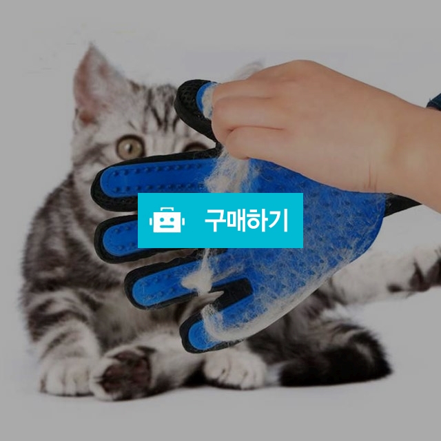 고양이 강아지 털제거 장갑 / 개시크 / 디비디비 / 구매하기 / 특가할인