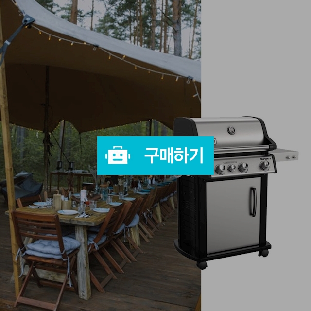 웨버 바베큐그릴 가스 캠핑 그리들 가정용 가든파티 고기훈제바비큐 스텐석쇠 차콜그릴 패키지 / 다모아아토즈님의 스토어 / 디비디비 / 구매하기 / 특가할인