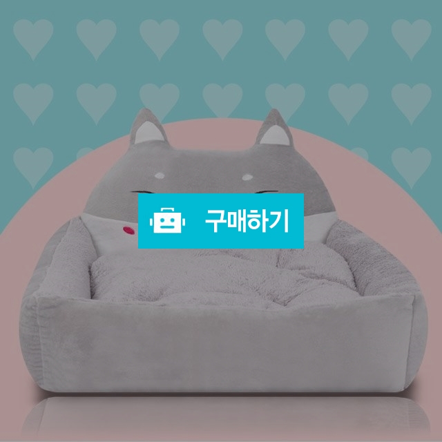 마이독 부끄 시바방석 강아지방석 / 마이독님의 스토어 / 디비디비 / 구매하기 / 특가할인