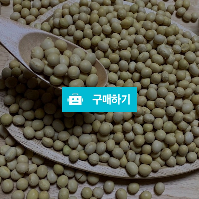 백태(노란콩) / 대박유통 스토어 / 디비디비 / 구매하기 / 특가할인