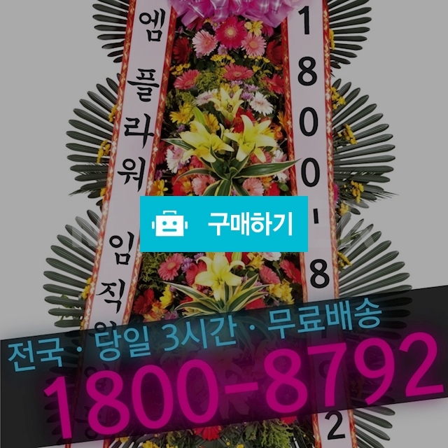 3단 축하화환[일반형](전국 당일 무료배송 꽃배달 화환배달 결혼식화환) / 엠플라워님의 스토어 / 디비디비 / 구매하기 / 특가할인