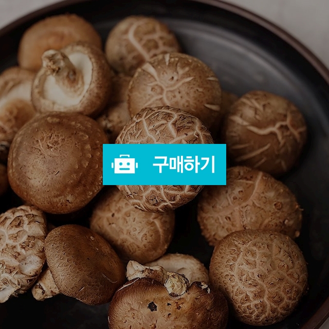 농장직송 무농약 생 표고버섯 1kg(가정용) / 미미의밥상 / 디비디비 / 구매하기 / 특가할인