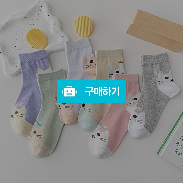 앤어바웃 6켤레/12켤레 여성 키티 야옹 캐릭터 중목양말 / 앤어바웃 / 디비디비 / 구매하기 / 특가할인