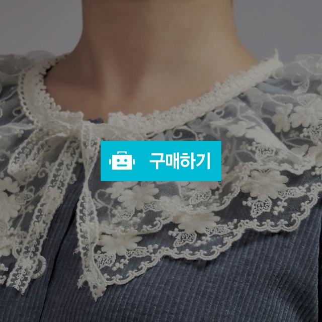 레이스 포인트 빅카라 파자마 상하 세트 인디핑크 외 3 color 55 66 / NARANNA 나란나 / 디비디비 / 구매하기 / 특가할인