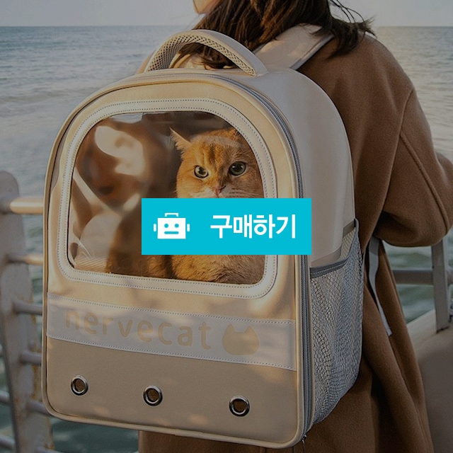 냥슬아치 고양이 강아지 업혀바 애견 이동백팩 가방 / 냥슬아치님의 스토어 / 디비디비 / 구매하기 / 특가할인