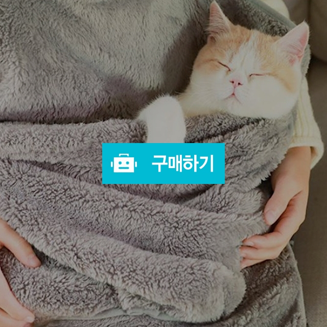 탁펫 애완동물 캥거루 앞치마 / 리빙듀오님의 스토어 / 디비디비 / 구매하기 / 특가할인