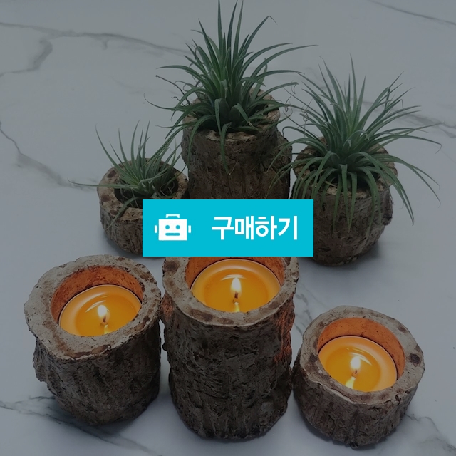 티라이트 캔들 홀더 / 바로바님의 스토어 / 디비디비 / 구매하기 / 특가할인