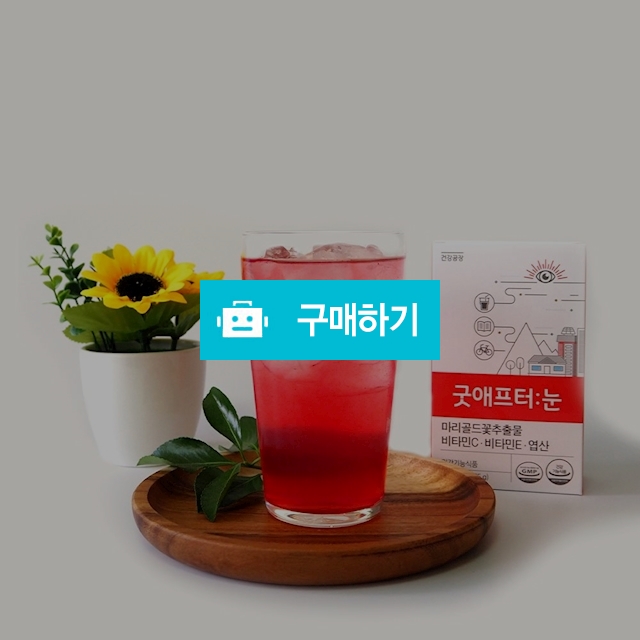 굿 애프터 눈 / 셀러트렌드님의 스토어 / 디비디비 / 구매하기 / 특가할인