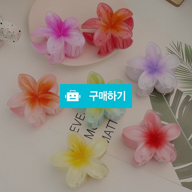 앤어바웃 하와이안 플라워 헤어 집게핀 / 앤어바웃 / 디비디비 / 구매하기 / 특가할인