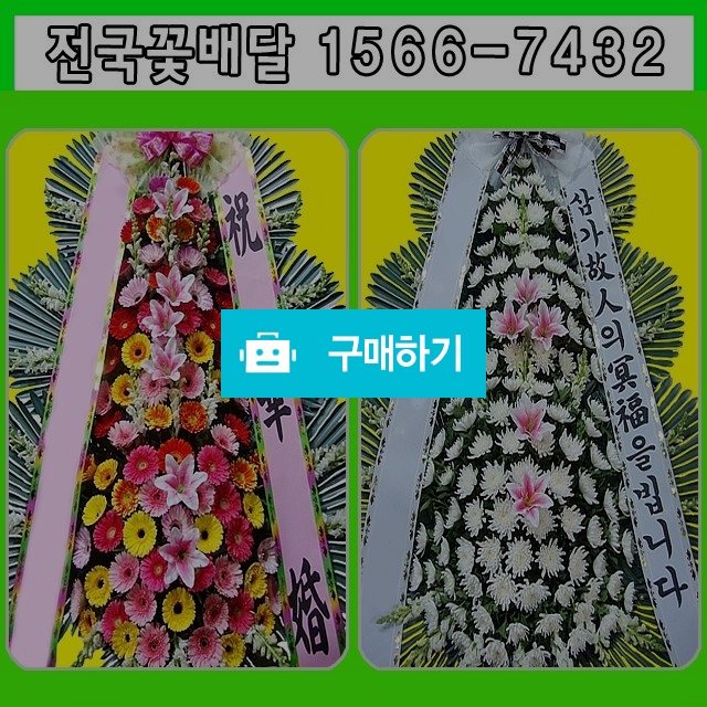 근조화환 결혼 축하 개업 꽃배달 / 070플라워님의 스토어 / 디비디비 / 구매하기 / 특가할인