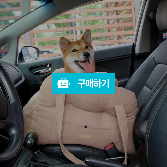 개과천선 멍스 강아지 카시트 사계절 애견 반려동물 드라이빙킷 풀커버 고양이 소형견 중형견 / 개과천선 / 디비디비 / 구매하기 / 특가할인