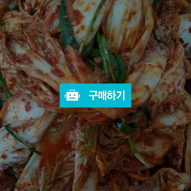 겉절이 / love1203 / 디비디비 / 구매하기 / 특가할인