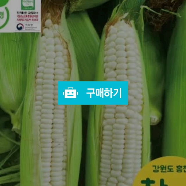 강원도 홍천 찐 찰옥수수 미백, 흑찰,반반 종류대로 골라담기 / DAOSO5949 / 디비디비 / 구매하기 / 특가할인