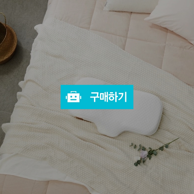 경추 메모리폼(생활방수) 비스코스 기능성베개 / 베개날다 / 디비디비 / 구매하기 / 특가할인