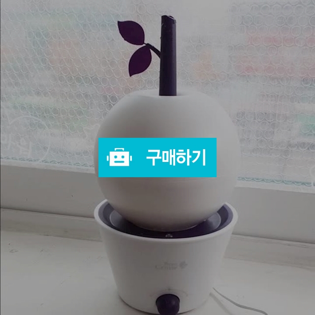 애플팟 초음파 가습기 BCH-260 (아답터타입) / 새끼발가락 / 디비디비 / 구매하기 / 특가할인