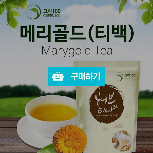 한방차 직거래 장터 / 대구보더님의 스토어 / 디비디비 / 구매하기 / 특가할인