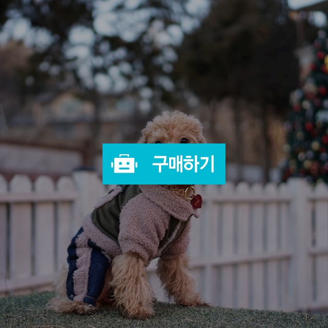 강아지 올인원 패딩 / 개님의 모든 것 / 디비디비 / 구매하기 / 특가할인